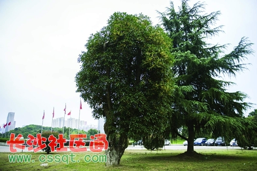 huangj14091321.JPG